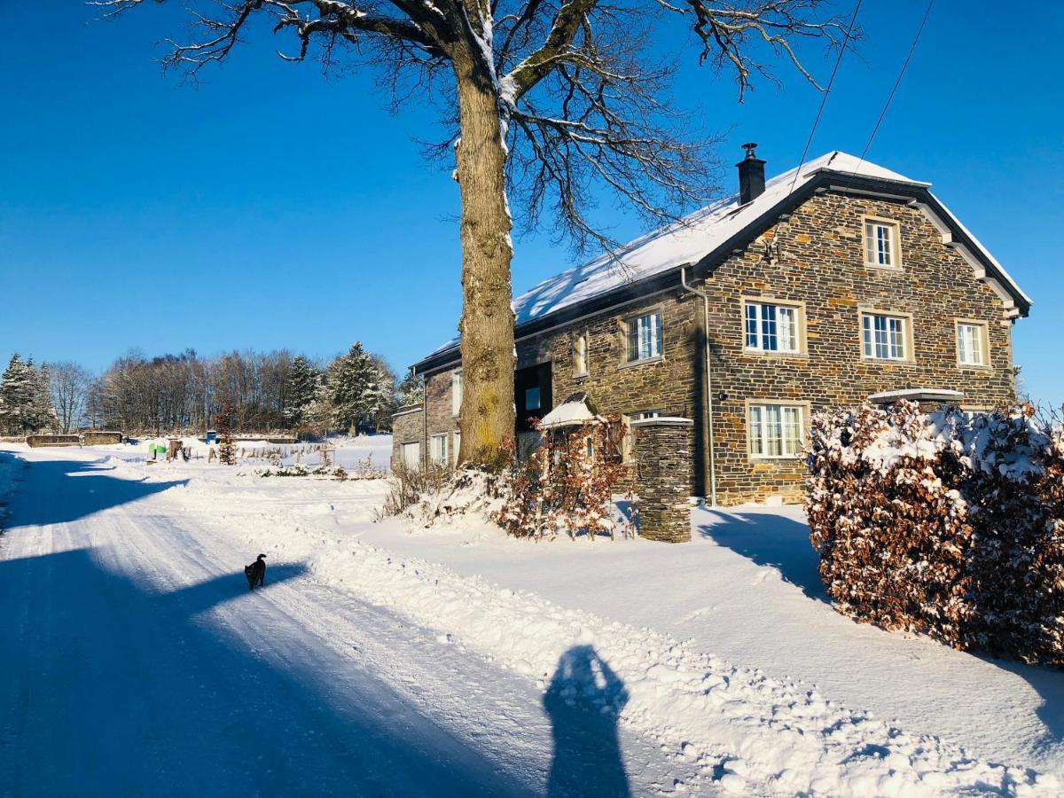 B&B Pegasus II - Chambre de luxe avec sauna privatif Vielsalm Extérieur photo